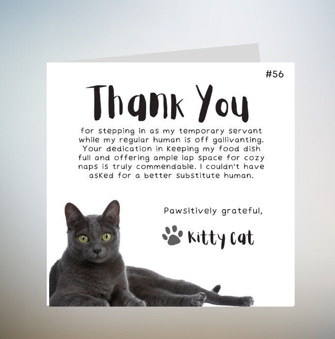 You are the cats whiskers | cat lover card for her or him | blue illustrated cat birthday card | funny cat card cute cat card | cat greeting