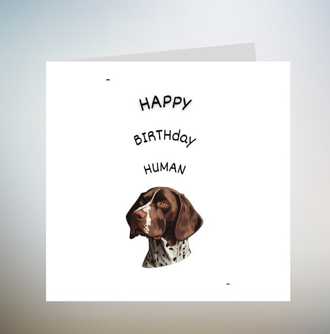 Sweet German Shorthaired Pointer Birthday Card - Happy Birthday Human -6x6