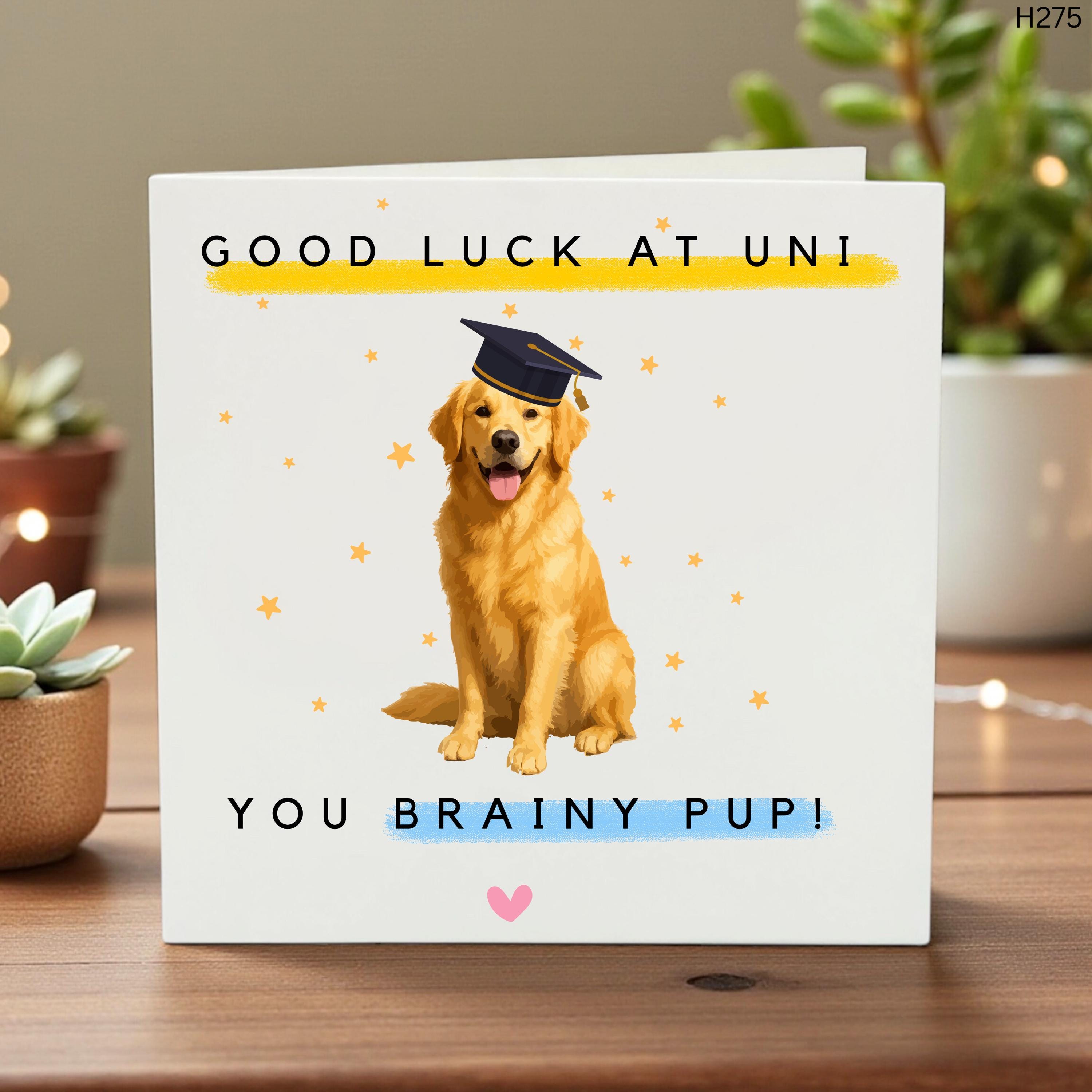 Good Luck at University Card, Cute Dog Graduation Greeting, Brainy Pup Congrats Card, College Student Gift, Funny Animal Card
