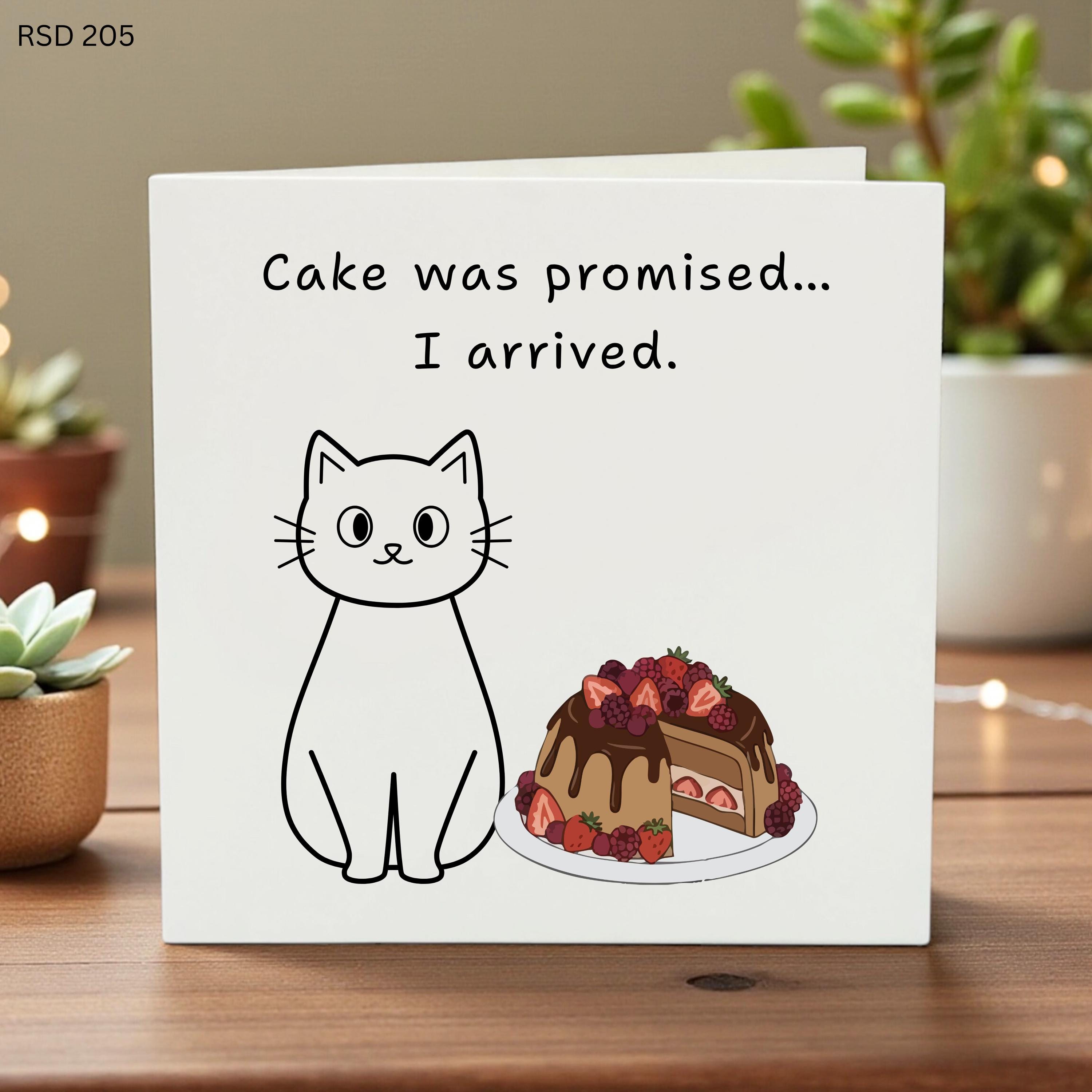 Funny Cat Birthday Card, Cake Was Promised I Arrived, Cute White Cat and Chocolate Cake Greeting Card for Foodie Friend, Snarky Cat Mom Gift