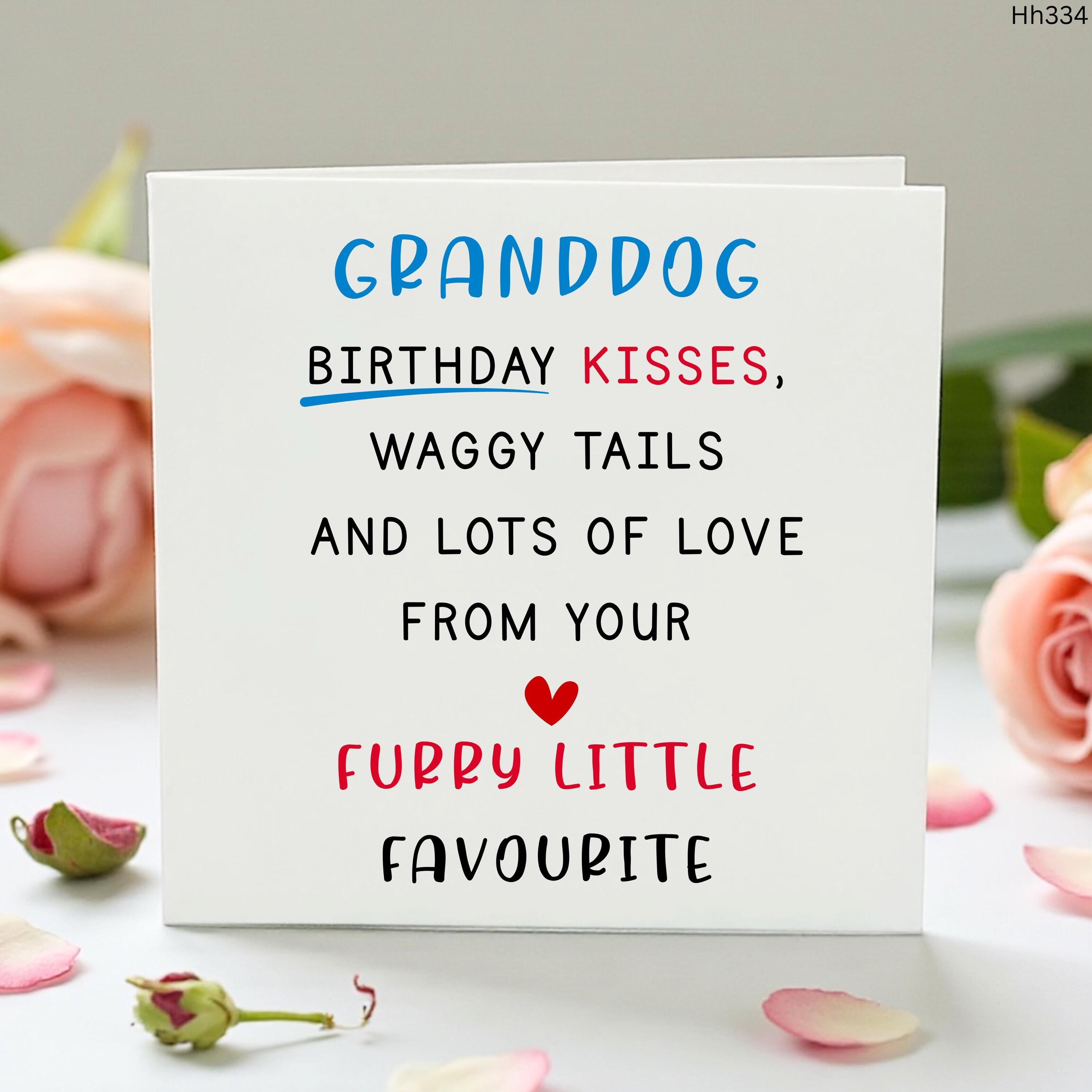 Granddog Birthday Card, Funny Dog Grandad Card, Birthday Card From The Dog, Cute Pet Owner Card, Furry Little Favourite Gift