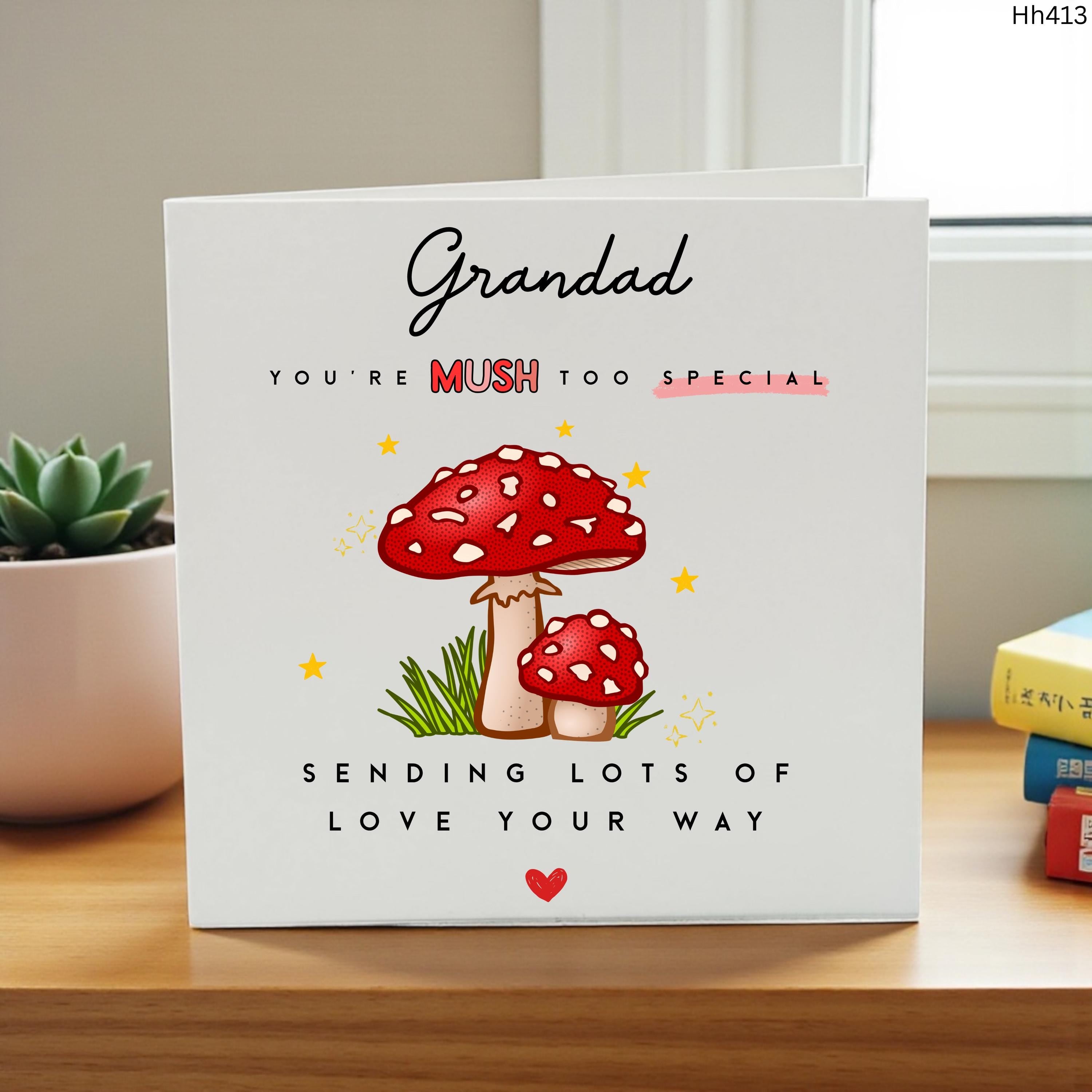 Grandad Birthday Card Cute Mushroom Card Funny Grandad Card Mush Too Special Personalised Card Grandpa Birthday from Grandchildren