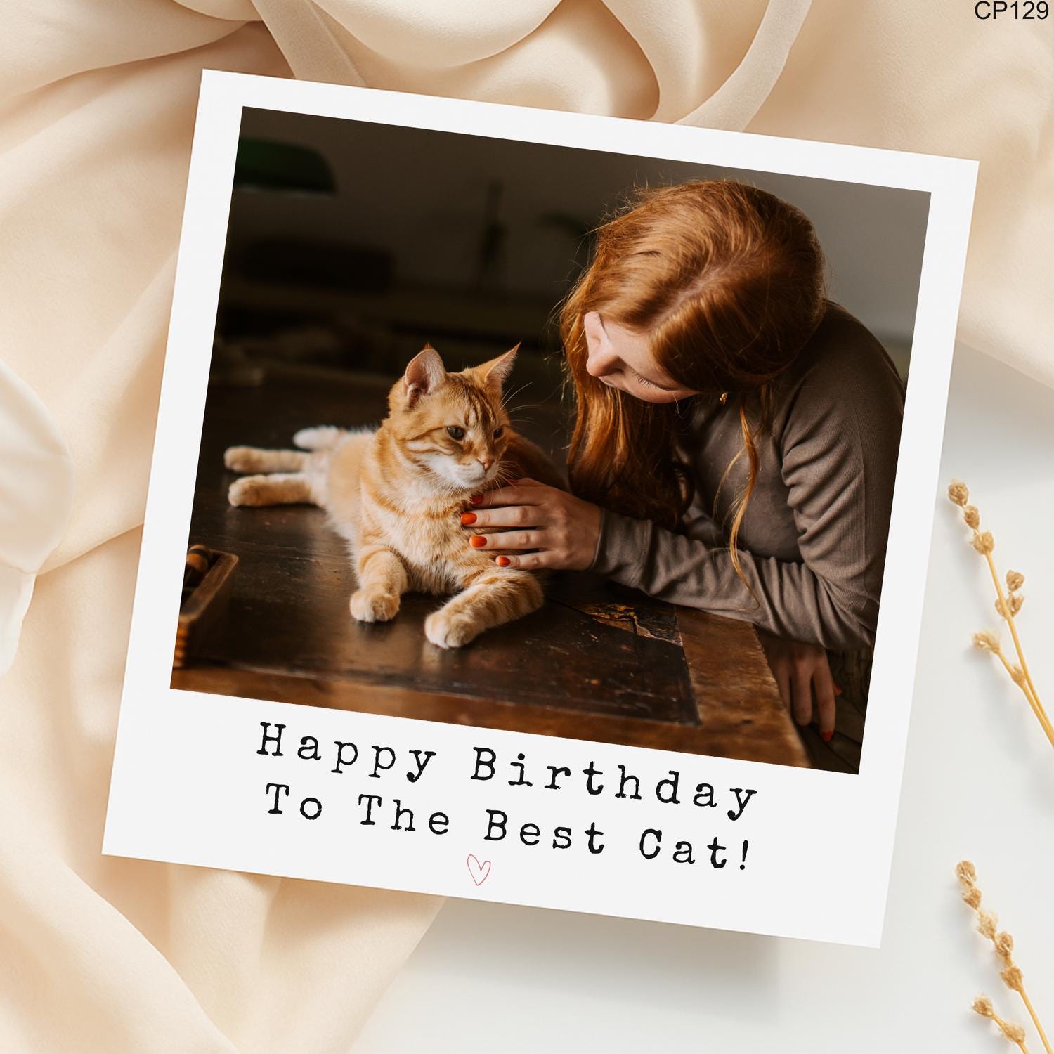Happy Birthday to the Best Cat Card – Cute Cat Lover Birthday Card-Ginger Kitty Photo-Funny & Sweet Pet Birthday Card – Cat Mom or Dad Gift