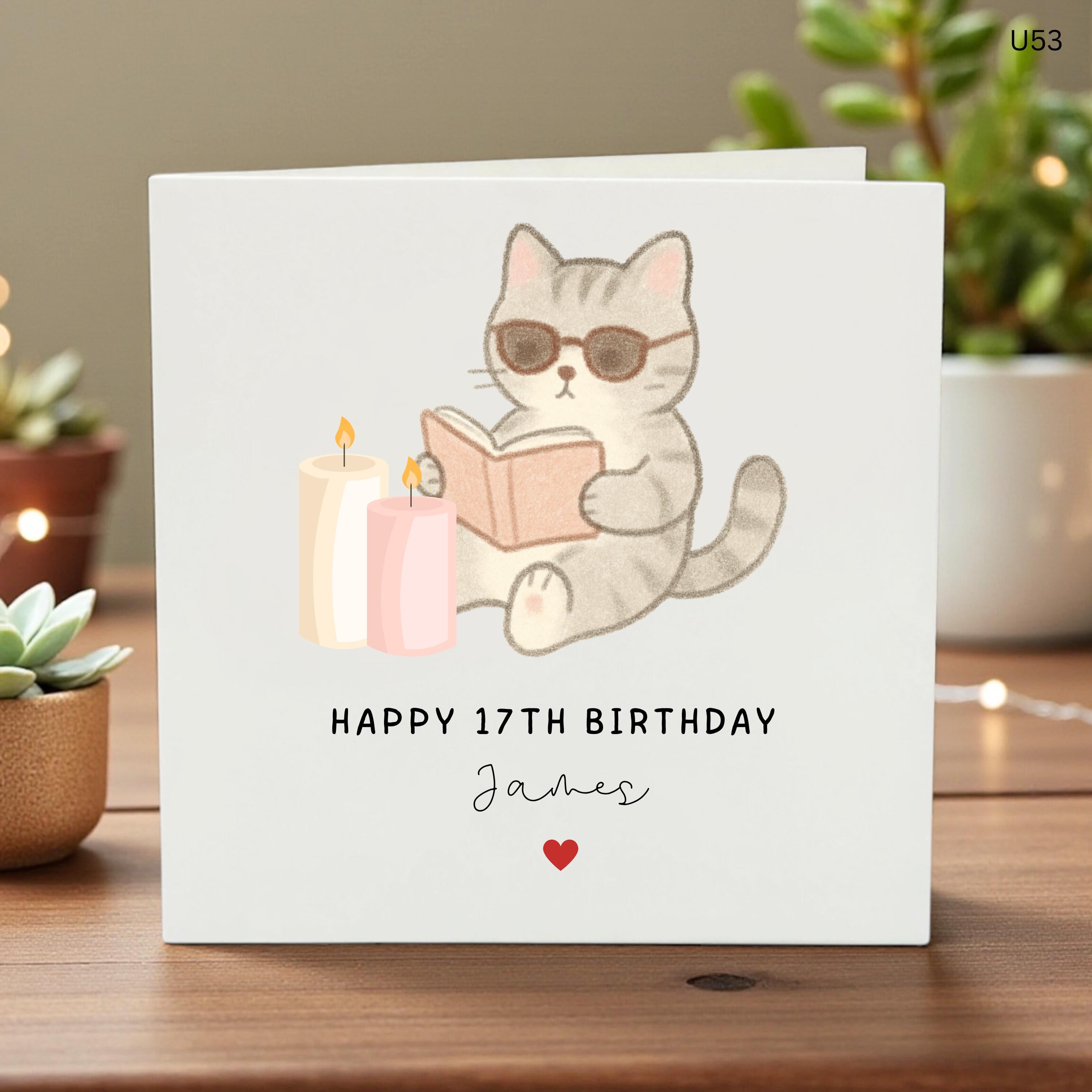 Cute Cat Birthday Card, Happy Birthday Card for Cat Lover, Personalised Birthday Card, Funny Cat Illustration, 17th Birthday Card