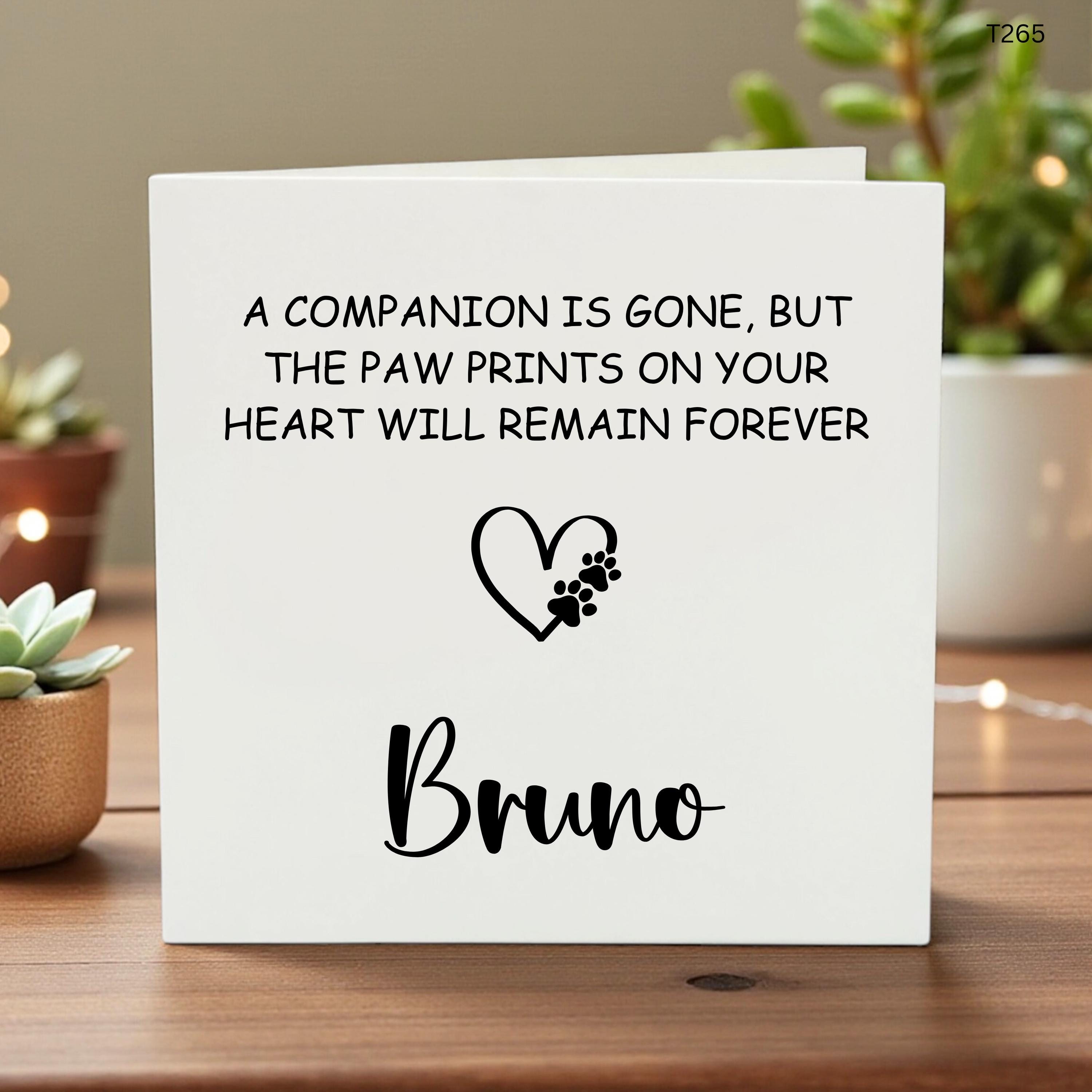 Pet Sympathy Card, Thinking Of You Gift, Dog Cat, Stay Strong, Sending Love, Grief Card, Sorry For Your Loss, Rainbow Bridge, Motivation 6x6
