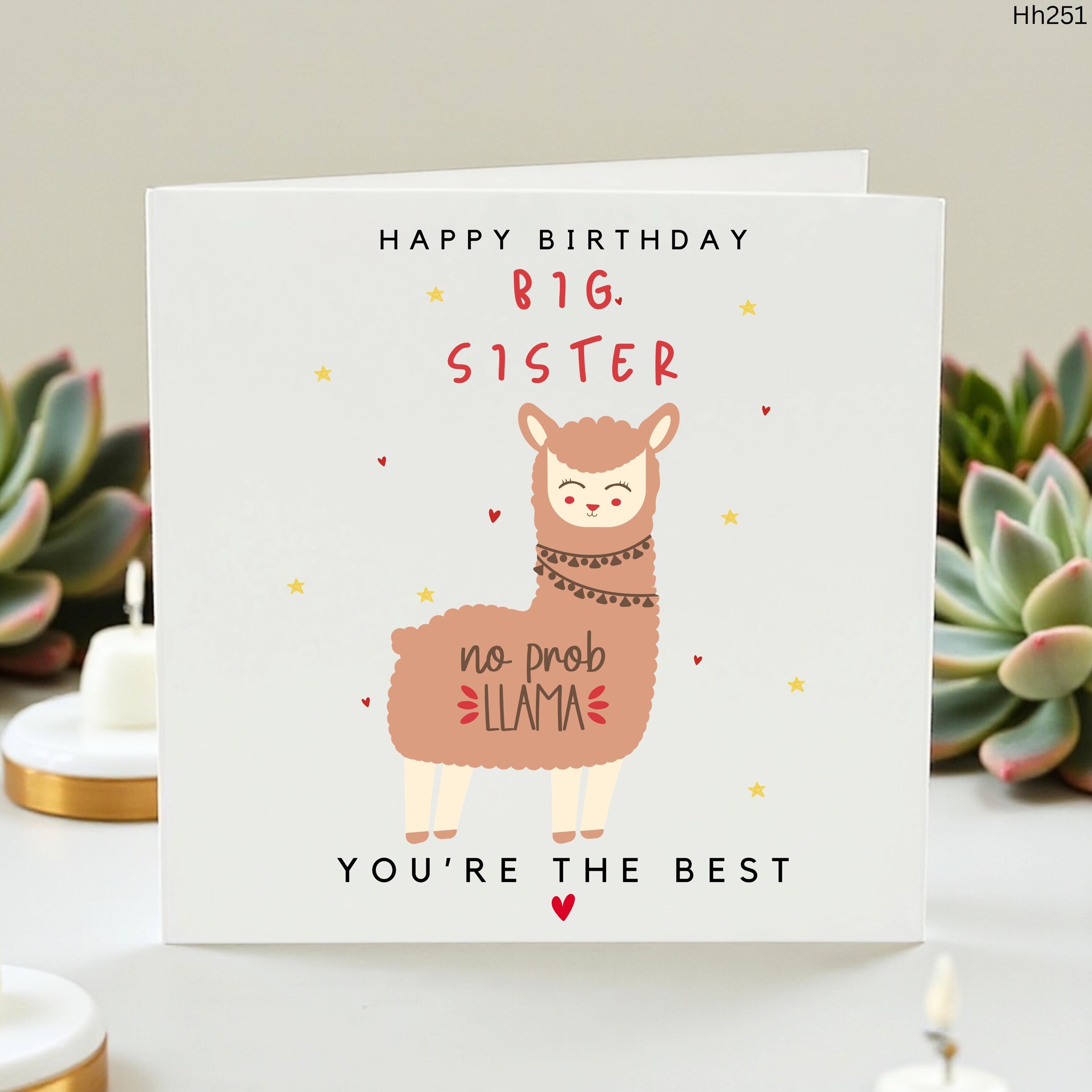 Big Sister Birthday Card, No Prob Llama Cute Sister Card, Funny Llama Pun Birthday Card for Big Sister Animal Pun Greeting Card, Best Sister
